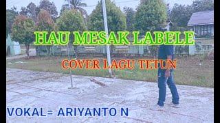 HAU MESAK LABELE《 cover ariyanto