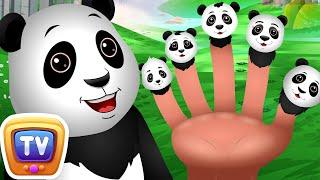 Finger Family Panda Song - Kids Songs and Learning Videos - ChuChu TV Classics