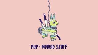 PUP - Morbid Stuff (Audio)