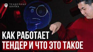 Как работает тендер и что это такое! Как строится бизнес на тендерах. Тендерная Биржа