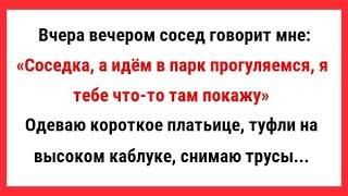 Сосед повел соседку в парк, погулять. Сборник Свежих Анекдотов! Юмор! Ржака!