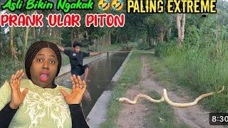 Prank Ular Piton Paling Extreme || DijaminBikin Ngakak 5| Funniest Snake Prank