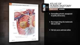 Atlas of Human Anatomy, Professional Edition, 6th Edition