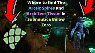 How to find the Arctic Spires Cache and the Architect Tissue in Subnautica Below Zero