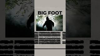 The Surprising Truth About Bigfoot You Never Knew #shorts #youcurious