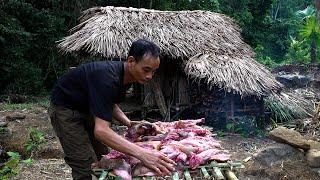 FULL VIDEO: How to trap a big wild boar to eat for a month