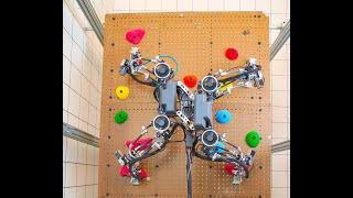 SCALER: A Free Climber Robot