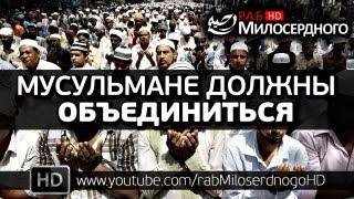 Мусульмане должны объединиться ᴴᴰ