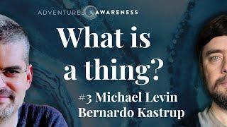 Michael Levin | Bernardo Kastrup #3: Evolution, Metacognition, Life & Death