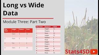 Data Management: Long vs Wide Data