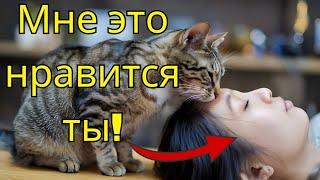 6 Явных Признаков того, что Ваш Кот Считает Вас "Мамой" или "Папой", о Которых Он Всегда Мечтал.