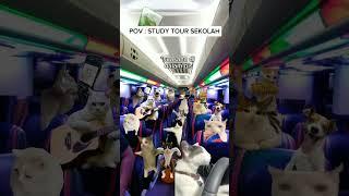 POV : study tour sekolah *suasana di dlm bis #cat #kucing #kucinglucugemes #kucinggemes #funny