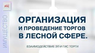 Организация и проведение торгов в лесной сфере. Взаимодействие ЭП и ГИС Торги (09.11.2022)