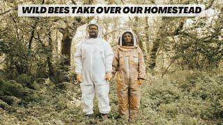 Facing our fears…Becoming unexpected bee keepers on our off-grid homestead