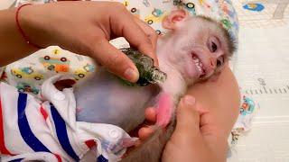 Monkey Puka's hand hurts, Mom helps him relieve the pain