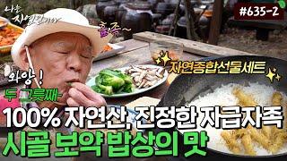 그 흔한 조미료 한 톨 들어가지 않았는데.. 미쳐버린 맛의 보약 밥상｜자연인 다시보기 635-2