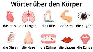 50+ Wörter über den Körper| Deutsch Lernen| Sprechen & Hören| A1-B1| Deutsch für Anfänger