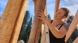 Alaska Solo Cabin Build Part 8