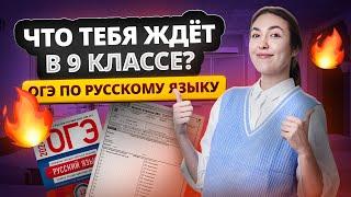 Как провести лето перед 9 классом. Всё, что нужно знать!