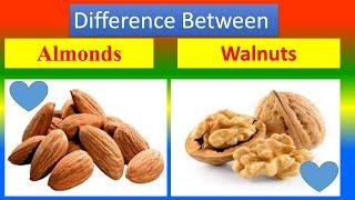 Differences Between Medical And Health Benefits Of Almonds and  Walnuts