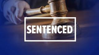 Man sentenced on fraud and theft charges