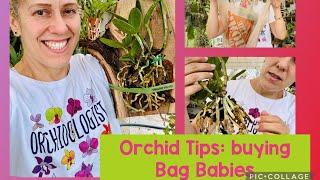 Orchid Tips- Buying Bag Babies from @HomeDepot @BetterGro Mounting my new Orchid!!!