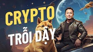 Crypto Trỗi Dậy - Nhận Định Thị Trường - Nov 13