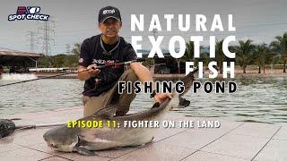 MANCING IKAN EXOTIC DARI LUAR NEGARA [EXP SPOTCHECK EP11]