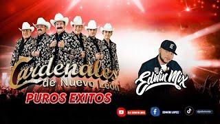 CARDENALES DE NUEVO LEON MIX (puros exitos) DJ EDWIN MIX 2024