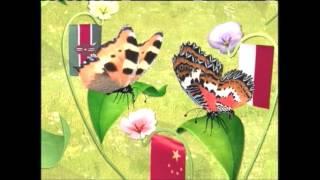 Butterfly World Leaders