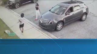 Police looking for dog thieves in Gwinnett County