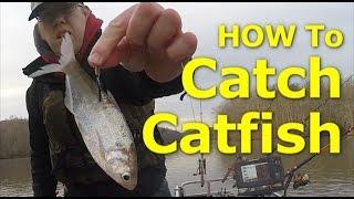 How to catch channel catfish - How I fish for catfish: Bait, Rigs, Net
