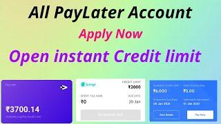 All PayLater Account Open Instant Credit limit