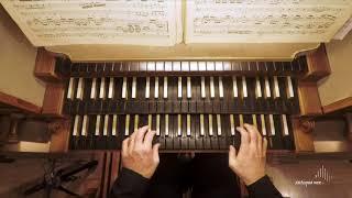 Johann Sebastian Bach, Praeludium et Fuga BWV 535, played by Luca Scandali (live recording)