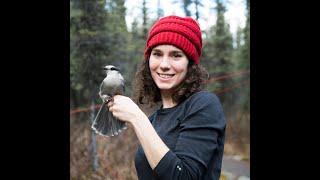 Corvid Mythologies with Dr. Kaeli Swift