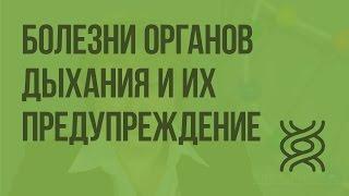 Болезни органов дыхания и их предупреждение. Видеоурок по биологии 8 класс