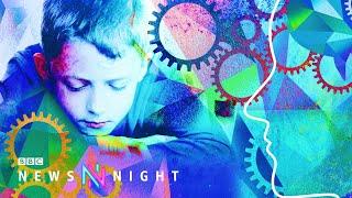 Tensions build between autism researchers and the autistic community - BBC Newsnight