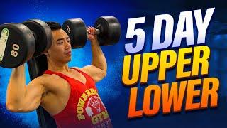 Best Beginner 5 Day Workout Program (Upper Lower Split)