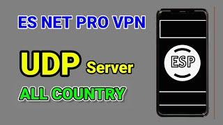 HOW TO SET UP ES NET PRO VPN WITH UDP SETTINGS FOR SECURE BROWSING