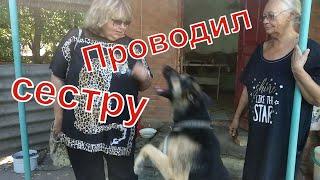 ВЛОГ: Анна Юрьевна против/ Наташа уезжает в Краснодар