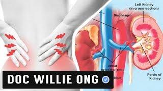 How to Lower your Creatinine: Healthy Foods - by Doc Willie Ong