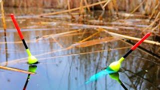 КРУПНЫЕ БОЛОТНЫЕ КАРАСИ КЛАДУТ И ПРУТ ПОПЛАВКИ В КАМЫШИ. Рыбалка на поплавок 2023