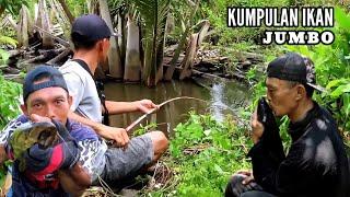 Sumpah, mancing strike ukuran jumbo semua