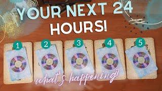 ⭐ Your NEXT 24 HOURS! What's Happening?! Predictions! | PICK A CARD | Timeless Tarot Reading