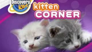 Discovery Kids: Kitten Corner (trailer) for the Nintendo DS