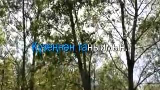 Äniemä Kazakh song in tatar language  Tatar Karaoke