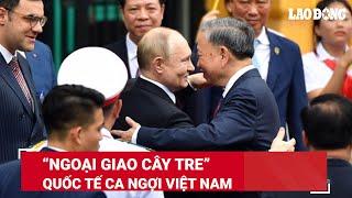 Việt Nam đón Tổng thống Putin đến thăm: Truyền thông quốc tế hết lời ca ngợi ‘ngoại giao cây tre