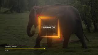 Domastic - Elephant