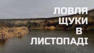 Ловля щуки в листопаді. Зимувальні ями без риби. Рибалка на р.Горинь