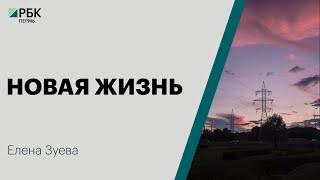 Новая жизнь | Елена Зуева